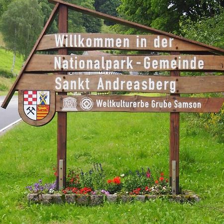 Wohnung Julius 1 Sankt Andreasberg Eksteriør bilde